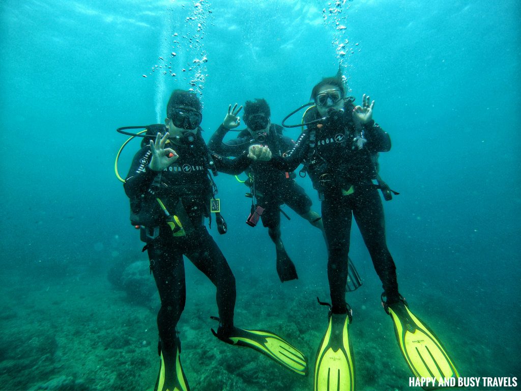 Introduction to Scuba Diving 11 - Cornetfish - Buceo Anilao Happy and Busy Travels Where to stay in Batangas Where to Dive in Batangas