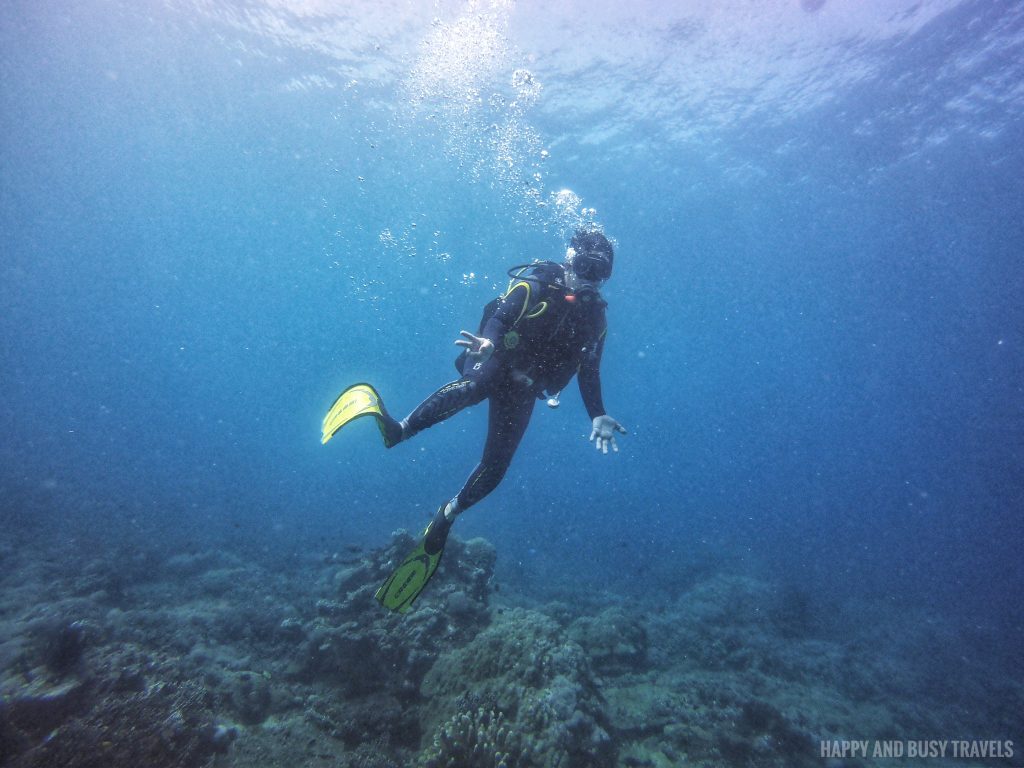 Discovery Scuba Diving Where to get scuba diving lessons Scandi Divers - Where to stay in Puerto Galera Lalaguna - Happy and Busy Travels