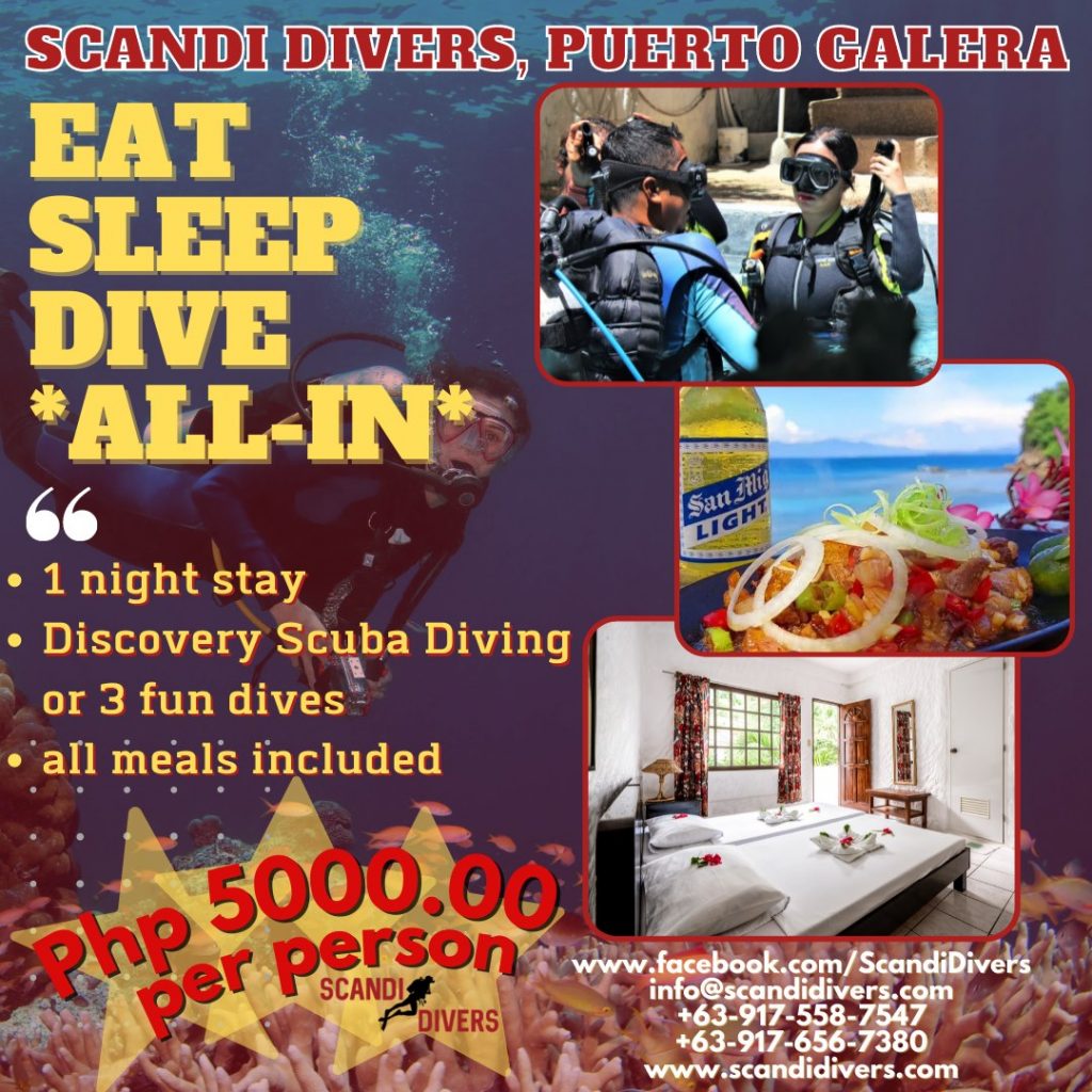 Scandi Divers - Promo - Where to Stay in Puerto Galera - Happy and Busy Travels