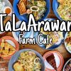 Talaarawan Farm Cafe - Happy and Busy Travels Where to eat in silang cavite