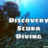 Discovery Scuba Diving Where to get scuba diving lessons Scandi Divers - Where to stay in Puerto Galera Lalaguna - Happy and Busy Travels