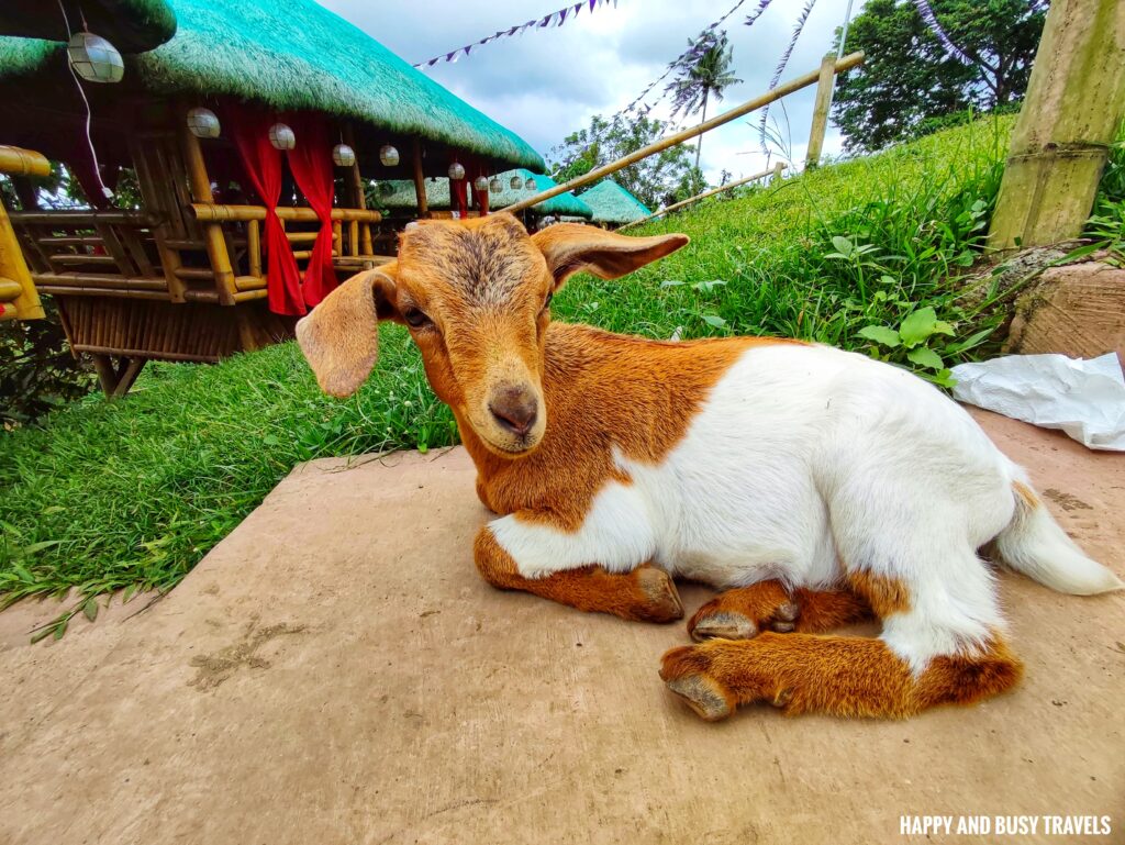 goat Don Juan Restaurant Tagaytay - Happy and Busy Travels