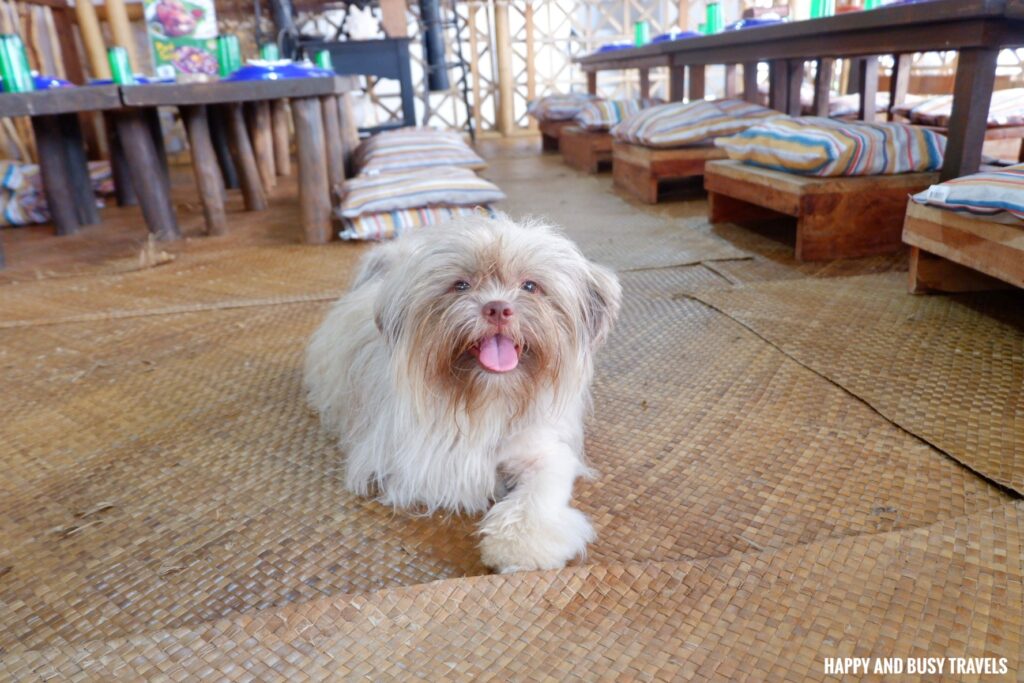 Balai Seafood Restaurant Boracay - Seafood Paluto - Happy and Busy Travels Where to eat in boracay