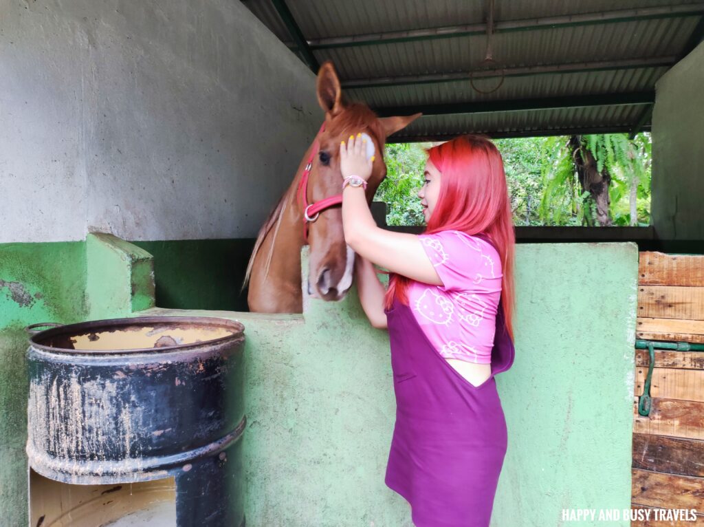 petting the horse MGM Ranch and Farm - Happy and Busy Travels Where to stay in Batangas