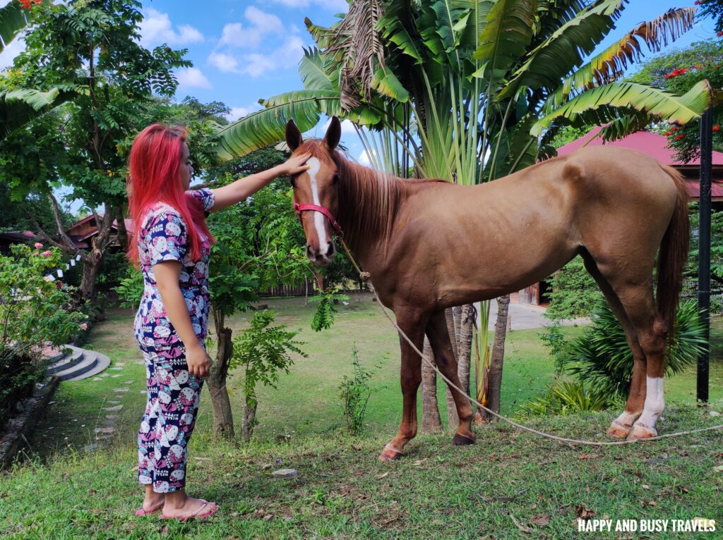horse petting MGM Ranch and Farm - Happy and Busy Travels Where to stay in Batangas