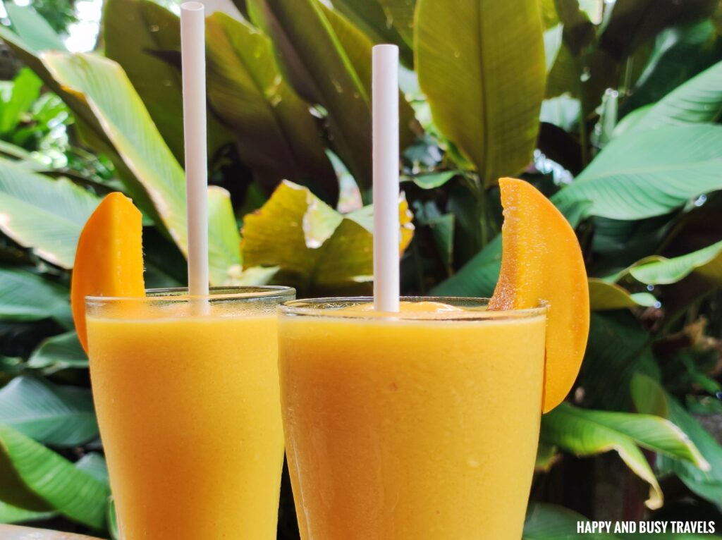 Fresh Mango Shake Nanaw Cafe Restaurant - Where to eat in Camiguin - Happy and Busy Travels