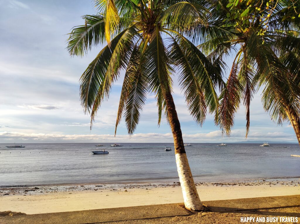 Villa Tomasa Alona Beach Panglao Bohol - Where to stay Affordable resort hotel beachfront - Happy and Busy Travels to Bohol