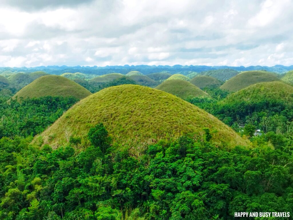 Bohol Travel Guide 5 days itinerary 6 - chocolate hills - Where to go Philippines - Happy and Busy Travels