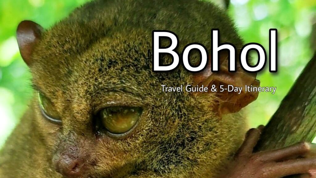 Bohol Travel Guide 5 days itinerary - tarsier - Where to go Philippines - Happy and Busy Travels