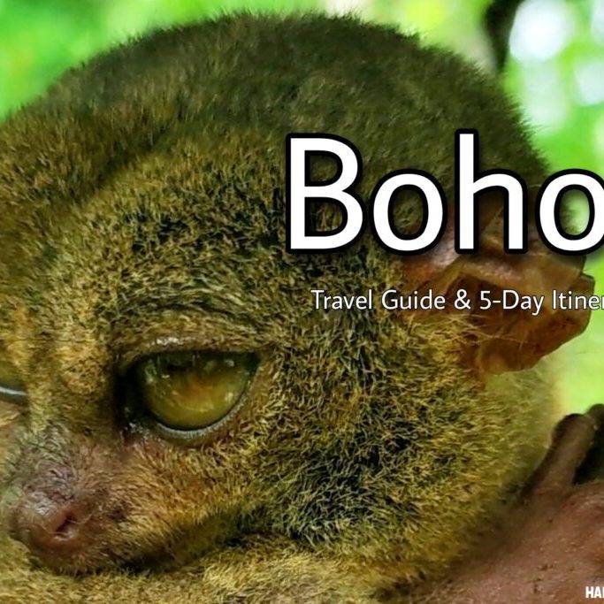 Bohol Travel Guide 5 days itinerary - tarsier - Where to go Philippines - Happy and Busy Travels