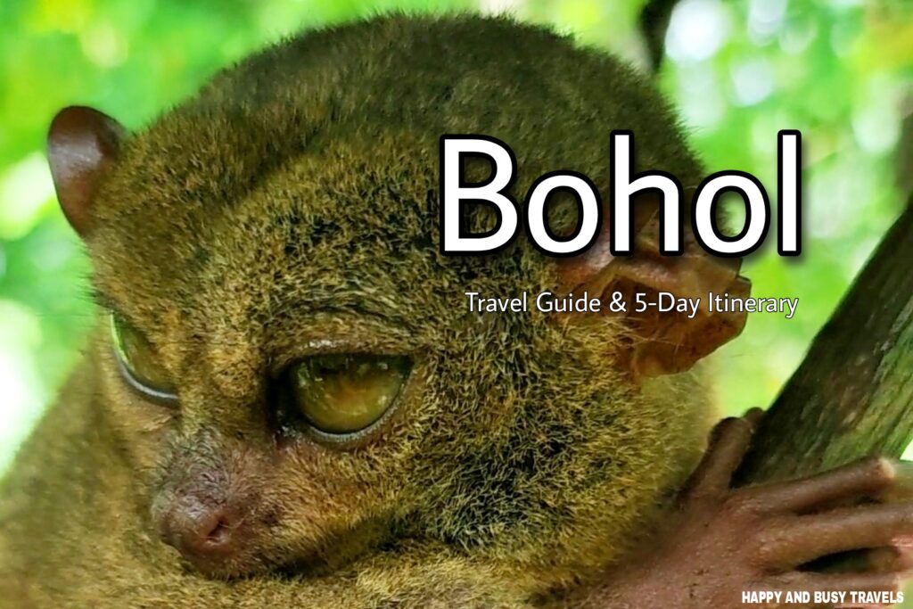 Bohol Travel Guide - Happy And Busy Travels