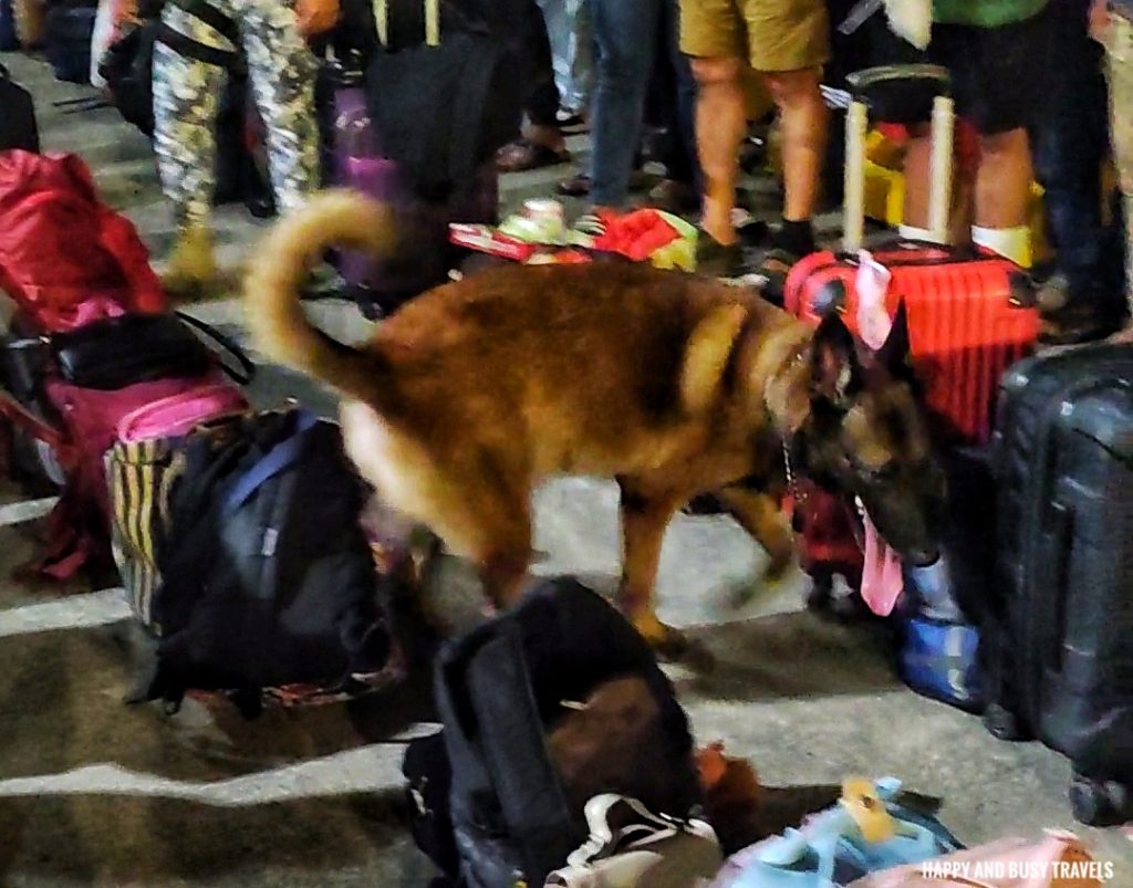bomb sniffing dog 2GO Travel to Boracay boat - Batangas Caticlan route - Happy and Busy Travels