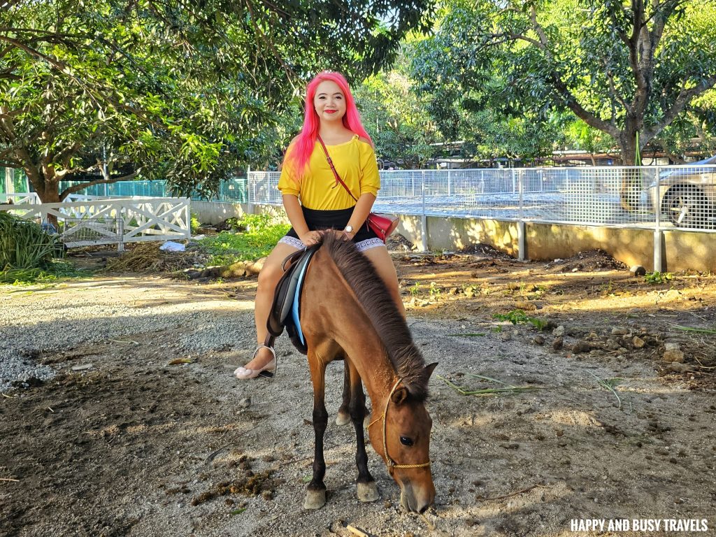 EJ Play and Campground 30 - horse riding what to do activities facilities Where to go stay imus cavite unwind resort farm animals nature - Happy and Busy Travels