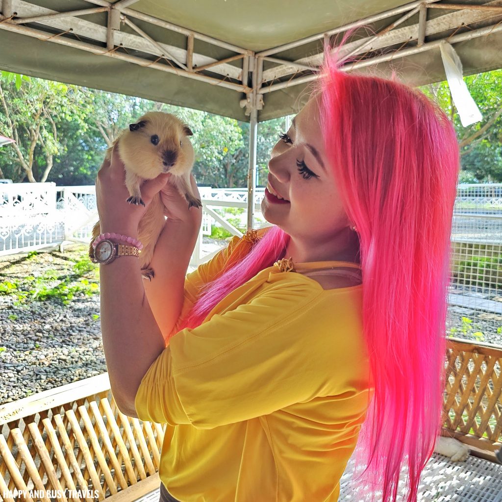 EJ Play and Campground 45 - guinea pig farm tour what to do activities facilities Where to go stay imus cavite unwind resort farm animals nature - Happy and Busy Travels