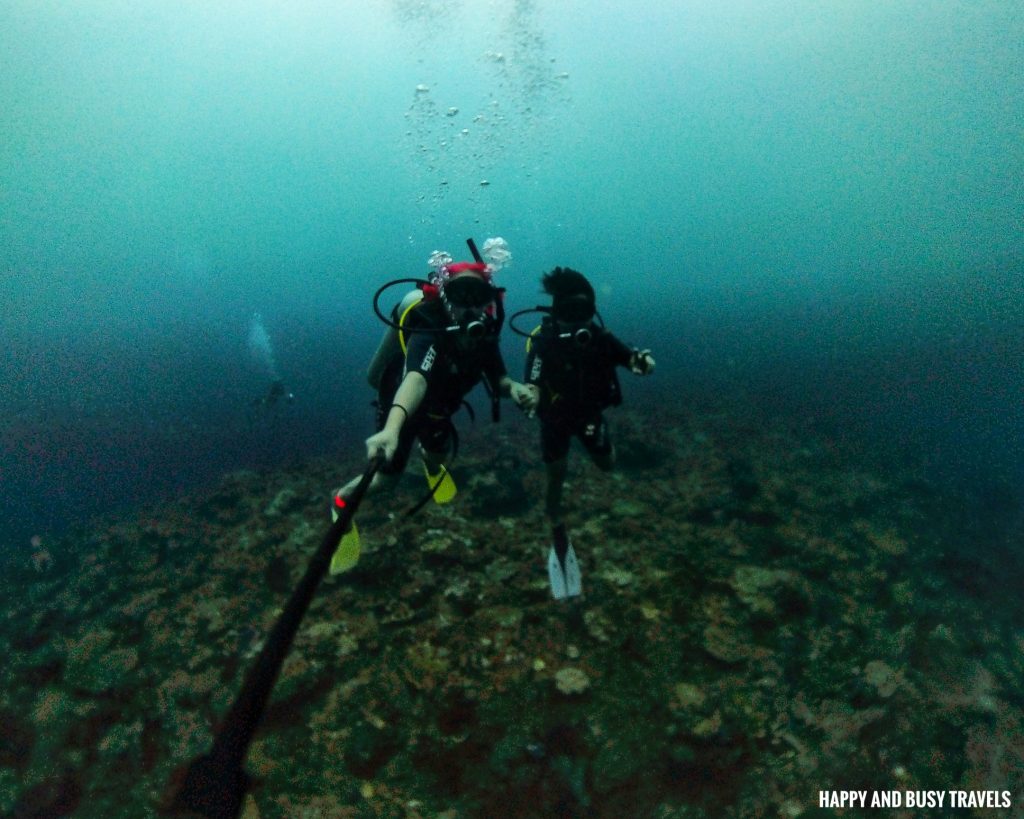 adik reef Kota Kinabalu Scuba Diving 25 - Downbelow Marine and Wildlife Adventures in Borneo What to do in Gaya Island - Sabah Tourism Happy and Busy Travels