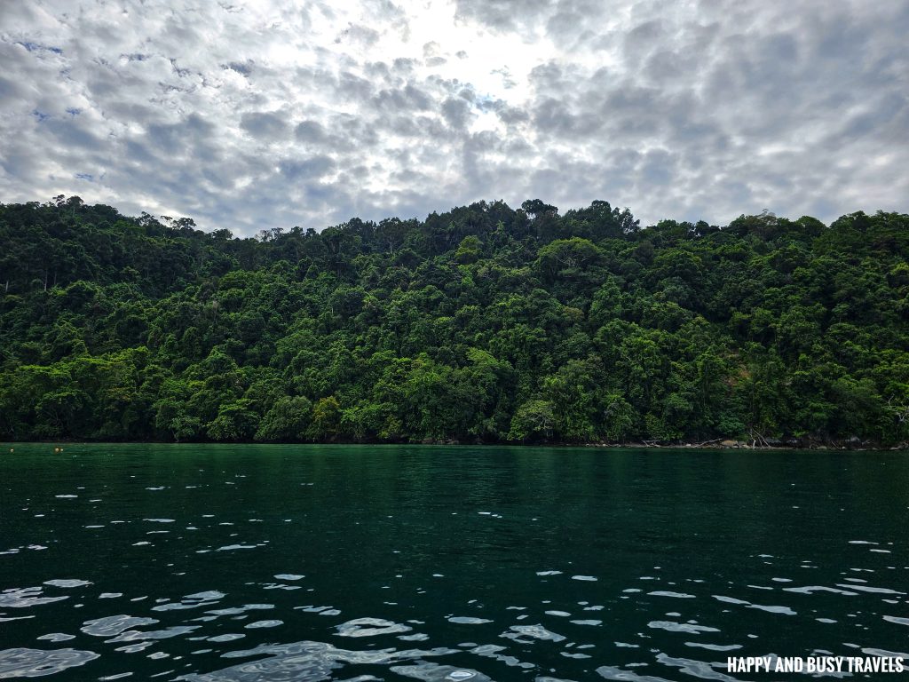 Kota Kinabalu Scuba Diving 5 - Downbelow Marine and Wildlife Adventures in Borneo What to do in Gaya Island - Sabah Tourism Happy and Busy Travels