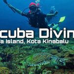 Kota Kinabalu Scuba Diving - Downbelow Marine and Wildlife Adventures in Borneo What to do in Gaya Island - Sabah Tourism Happy and Busy Travels