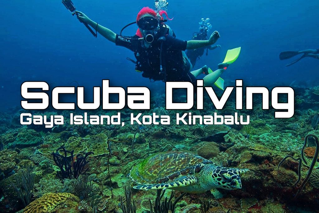 Kota Kinabalu Scuba Diving - Happy and Busy Travels