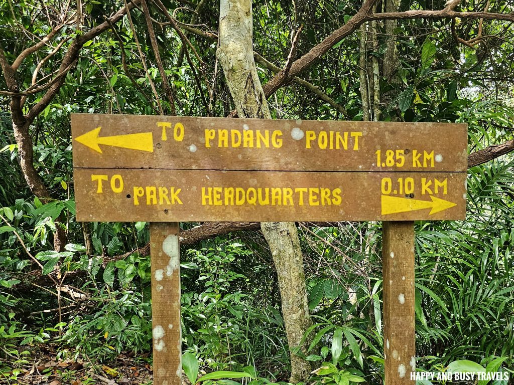 Trekking at Gaya Island 5 - Downbelow Marine and Wildlife Adventures in Borneo What to do in Gaya Island Kota Kinabalu - Sabah Tourism Happy and Busy Travels