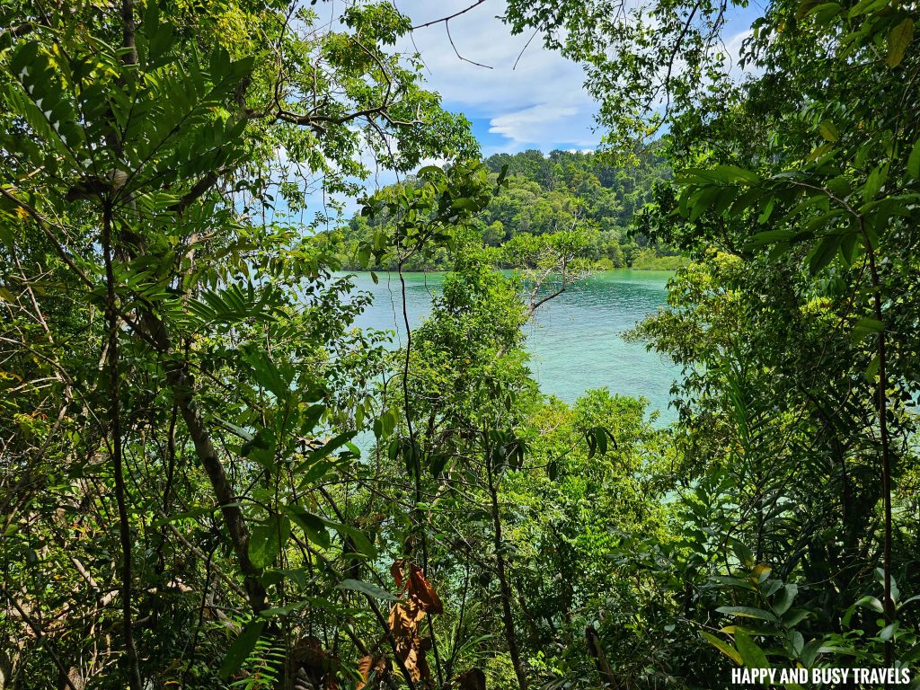 Trekking at Gaya Island 7 - view Downbelow Marine and Wildlife Adventures in Borneo What to do in Gaya Island Kota Kinabalu - Sabah Tourism Happy and Busy Travels