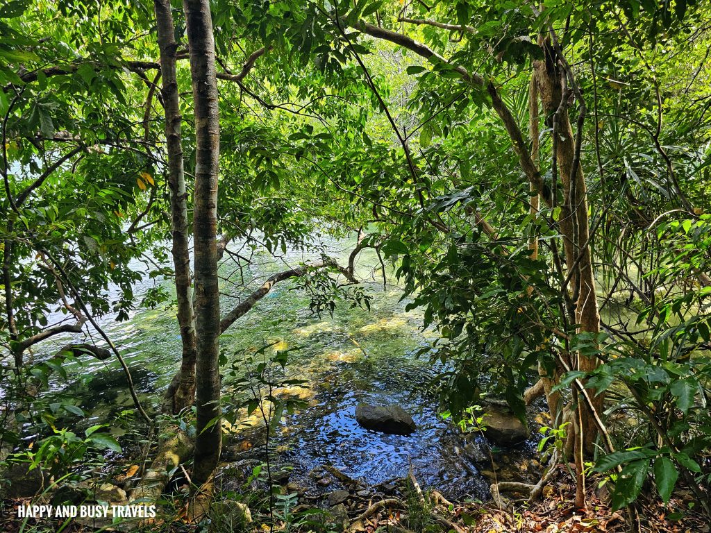 Trekking at Gaya Island 9.6 - Downbelow Marine and Wildlife Adventures in Borneo What to do in Gaya Island Kota Kinabalu - Sabah Tourism Happy and Busy Travels