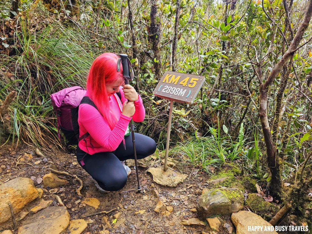 Quechua Trekking gears from Decathlon Alabang 7 - hiking stick forclaz Trekking Pole Fast and Precise Adjustment - Mt kinabalu kota kinabalu sabah malaysia - Happy and Busy Travels