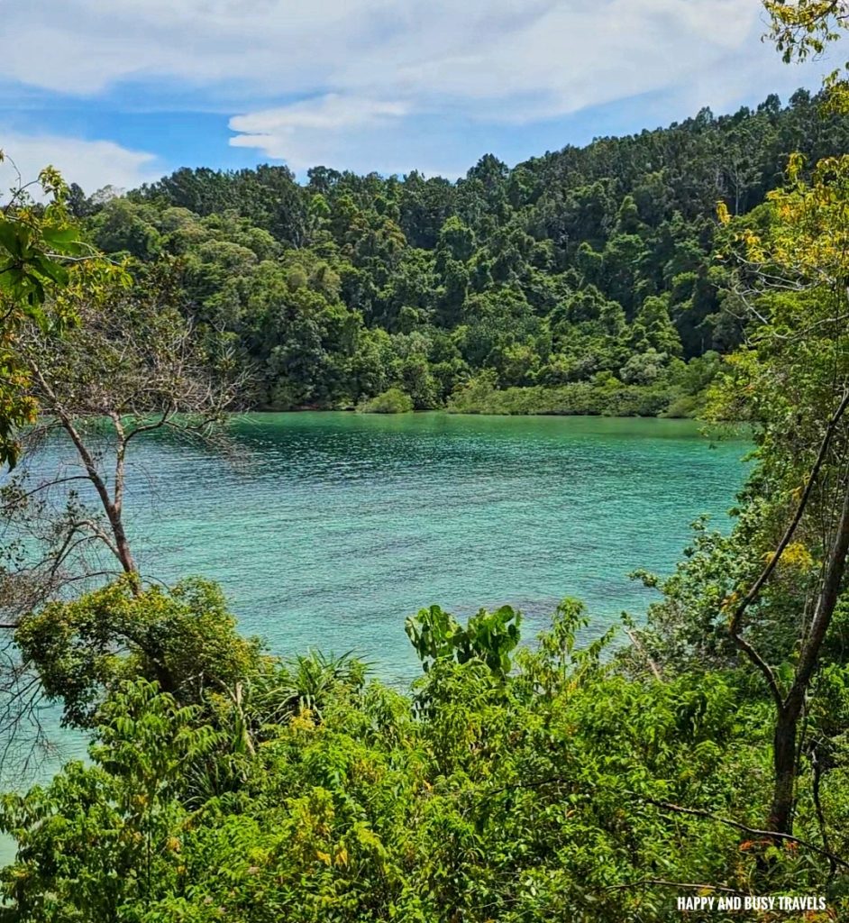 What to do on Gaya Island 6 - enjoy scenery Downbelow Marine and Wildlife Adventures in Borneo Kota Kinabalu - Sabah Tourism Happy and Busy Travels