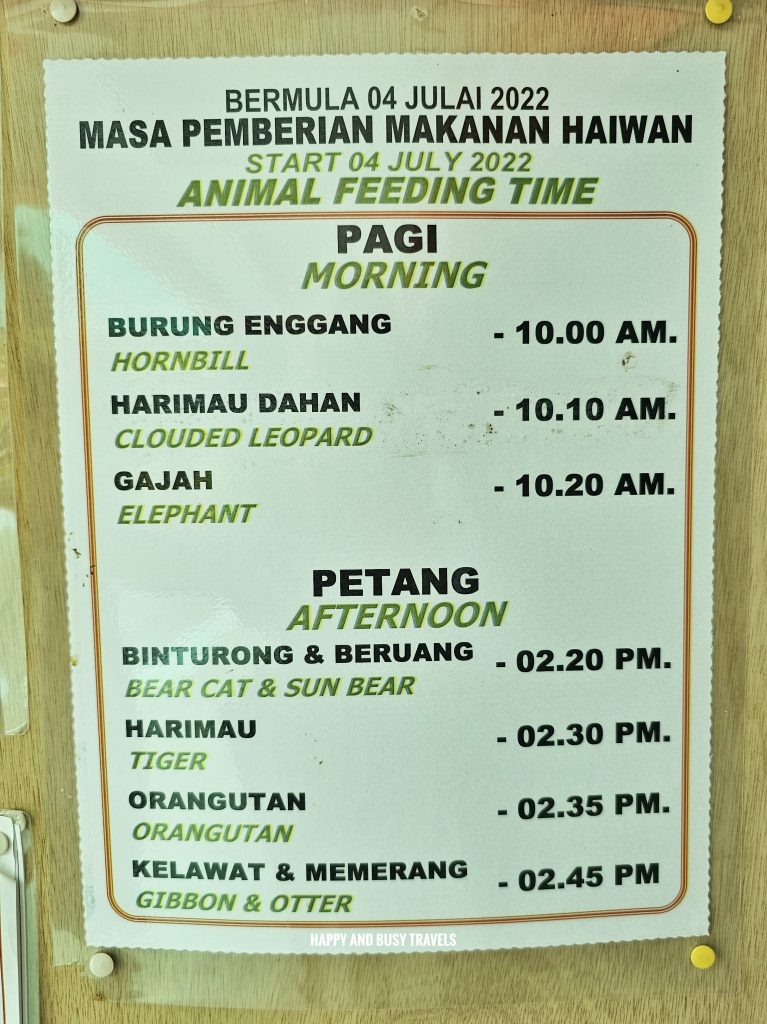 Lok Kawi Wildlife Park 49 - show schedule Where to go kota kinabalu sabah malaysia tourist spot what to do - Happy and Busy Travels