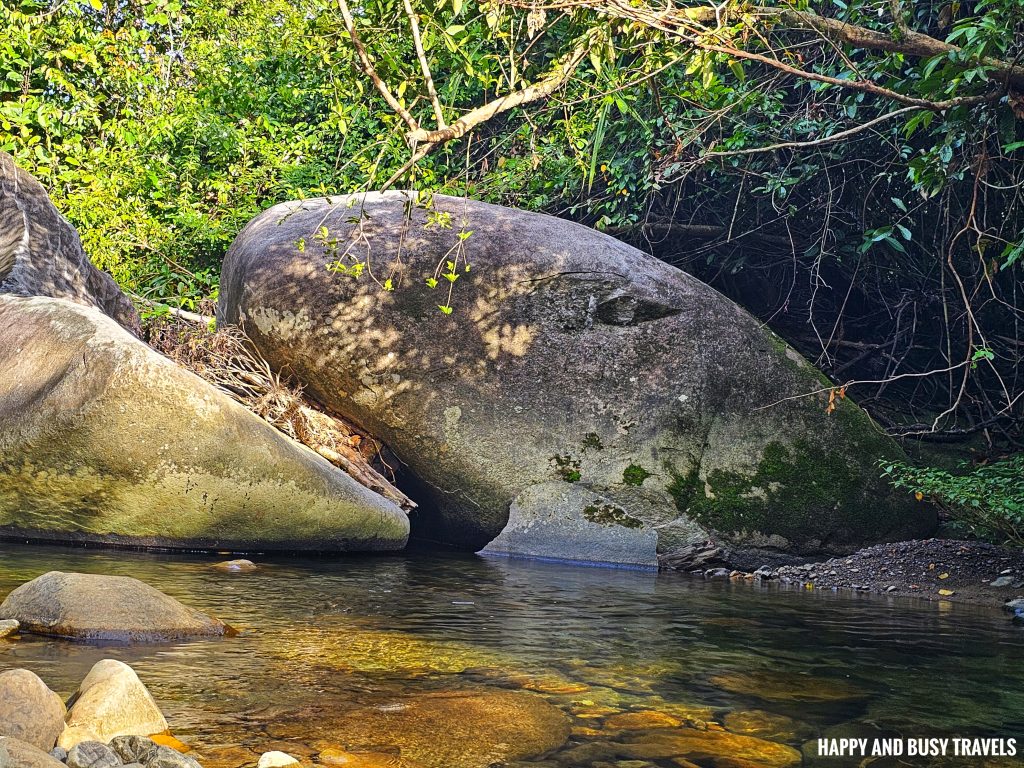 whale stone Nohutu Eco Tourism - Where to stay nature camp kota kinabalu sabah Malaysia view of mount kinabalu river - Happy and Busy Travels