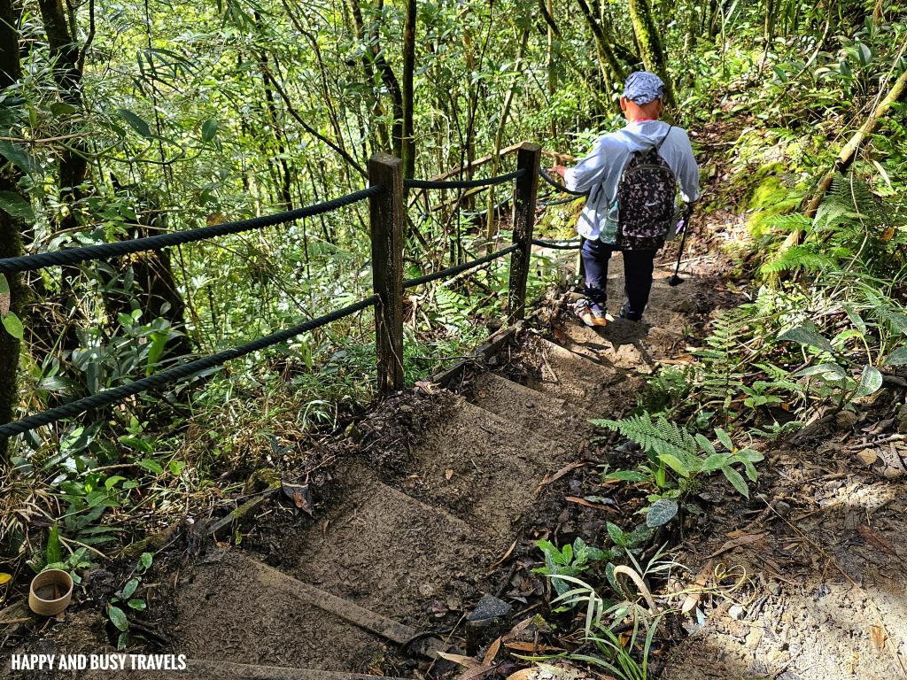 Climbing mount kinabalu 12 - first day where to book travel agency how to climb tips kota kinabalu sabah malaysia highest peak south east asia mountain - Happy and Busy Travels