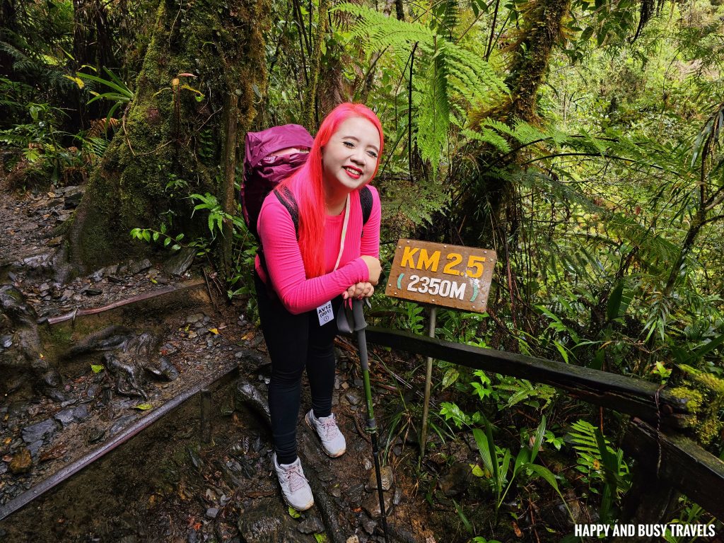 Climbing mount kinabalu 15 - 2.5KM sign first day where to book travel agency how to climb tips kota kinabalu sabah malaysia highest peak south east asia mountain - Happy and Busy Travels