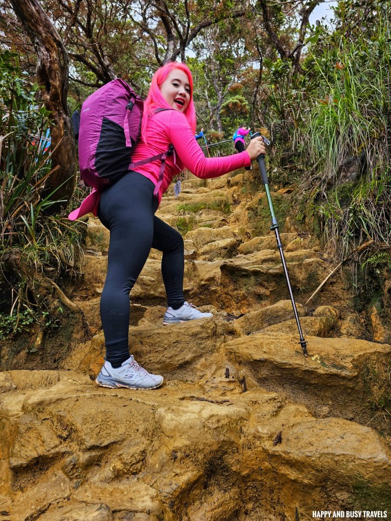 Climbing mount kinabalu 28 - first day decathlon gears how to climb tips kota kinabalu sabah malaysia highest peak south east asia mountain - Happy and Busy Travels