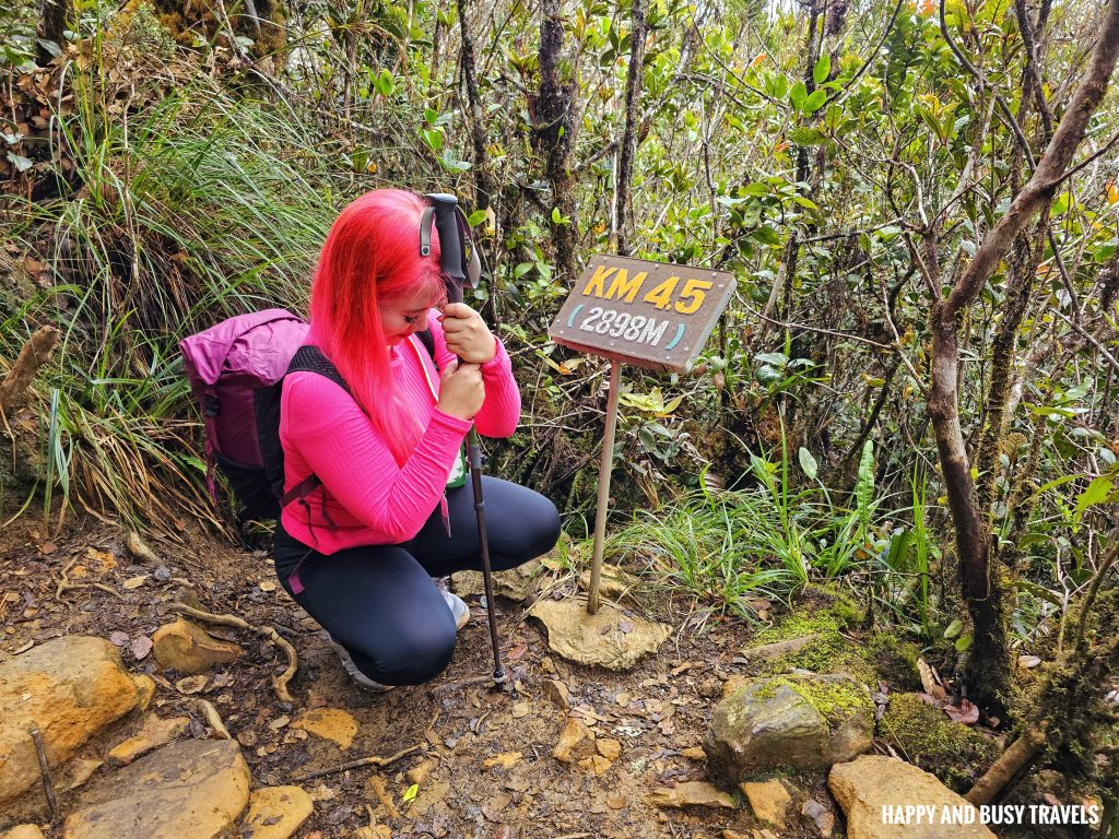Climbing mount kinabalu 29 - 4.5KM mark first day how to climb tips kota kinabalu sabah malaysia highest peak south east asia mountain - Happy and Busy Travels
