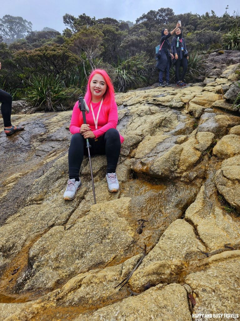 Climbing mount kinabalu 30 - first day how to climb tips kota kinabalu sabah malaysia highest peak south east asia mountain - Happy and Busy Travels