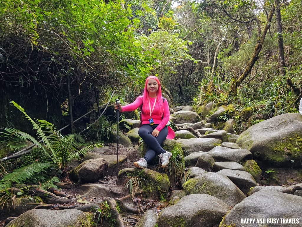 Climbing mount kinabalu 33 - first day how to climb tips kota kinabalu sabah malaysia highest peak south east asia mountain - Happy and Busy Travels