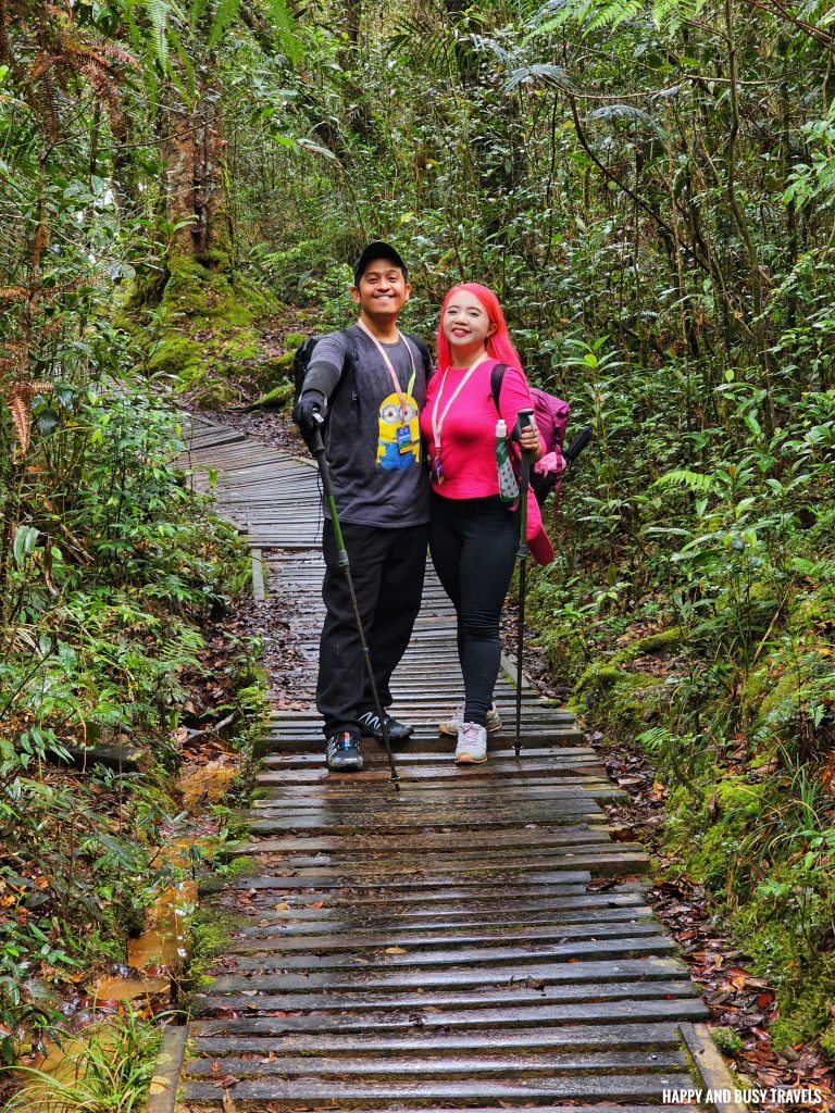 Climbing mount kinabalu 66 -going down second day how to climb tips kota kinabalu sabah malaysia highest peak south east asia mountain - Happy and Busy Travels