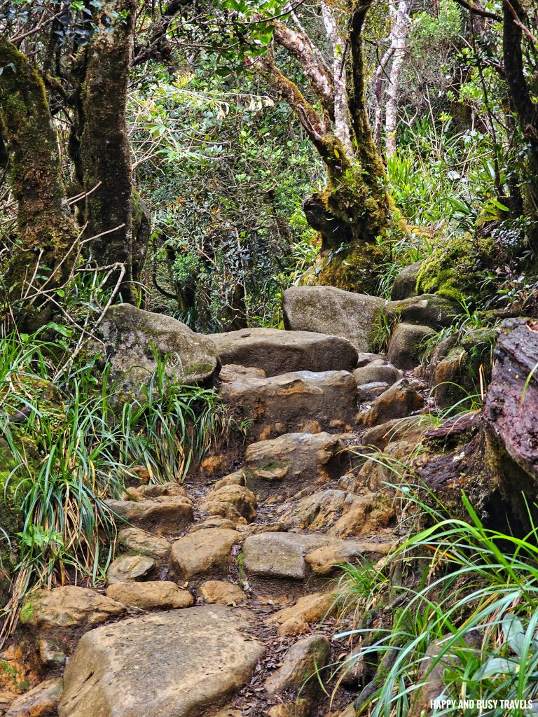 Climbing mount kinabalu 76 rocks - where to book travel agency how to climb tips kota kinabalu sabah malaysia highest peak south east asia mountain - Happy and Busy Travels