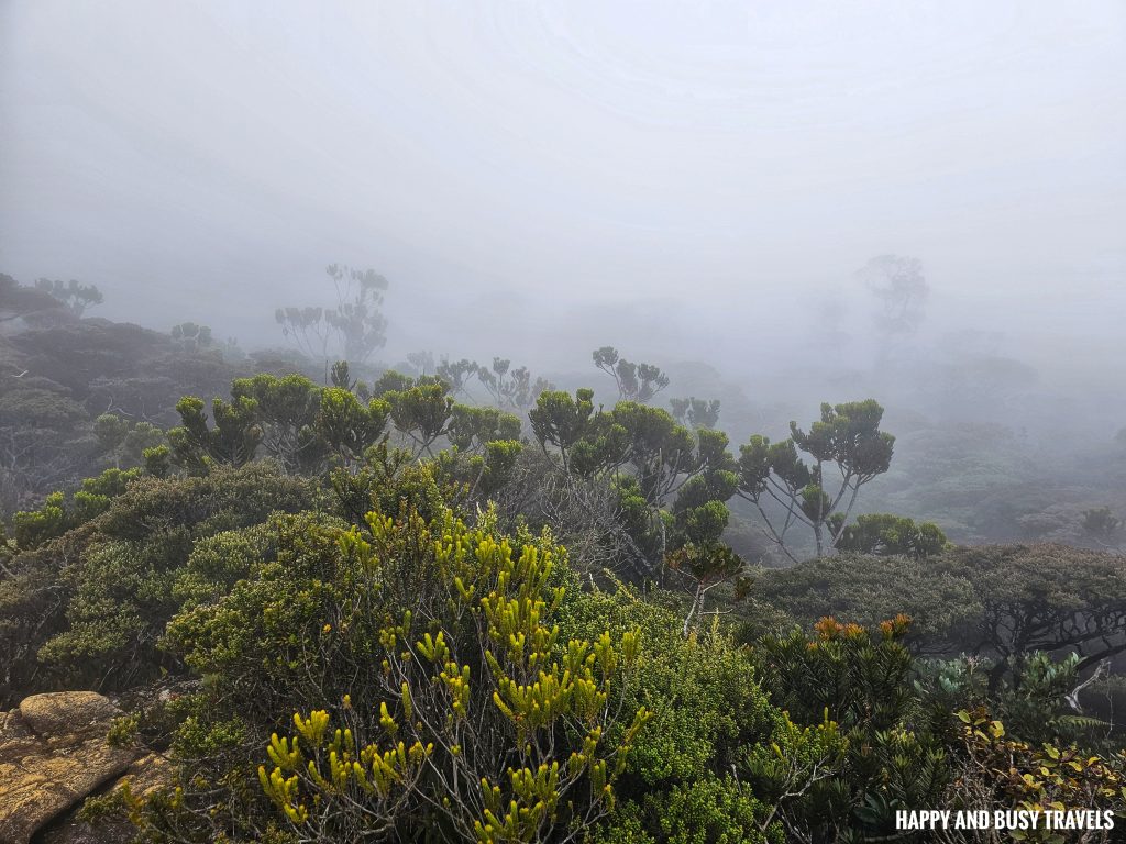 Climbing mount kinabalu 78 rocks - where to book travel agency how to climb tips kota kinabalu sabah malaysia highest peak south east asia mountain - Happy and Busy Travels