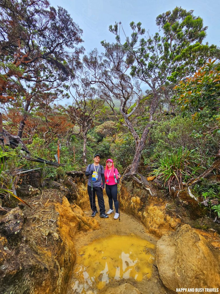 Climbing mount kinabalu 81 rocks - where to book travel agency how to climb tips kota kinabalu sabah malaysia highest peak south east asia mountain - Happy and Busy Travels