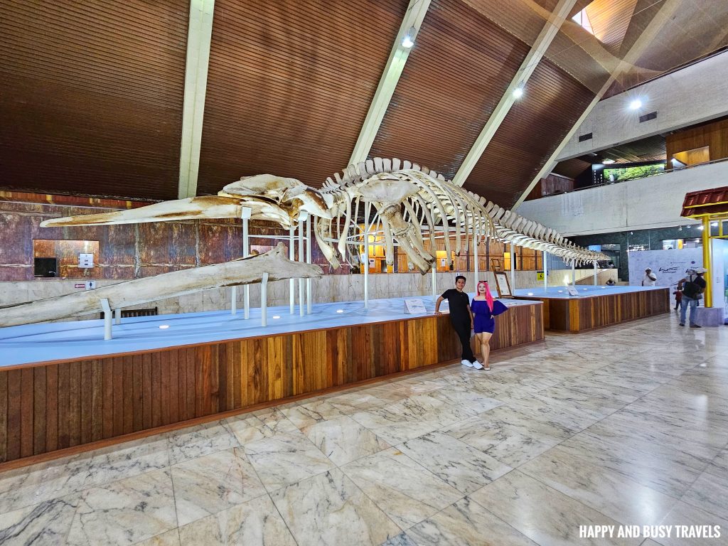 Kota Kinabalu Tourist Spots 6 - sabah museum whale Where to go famous things place to visit for couples - Happy and Busy Travels