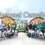 National Camella Day