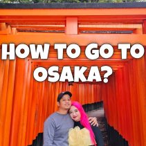 How to Go to Osaka - Fushimi Inari Taisha Kyoto Japan - Happy and Busy Travels
