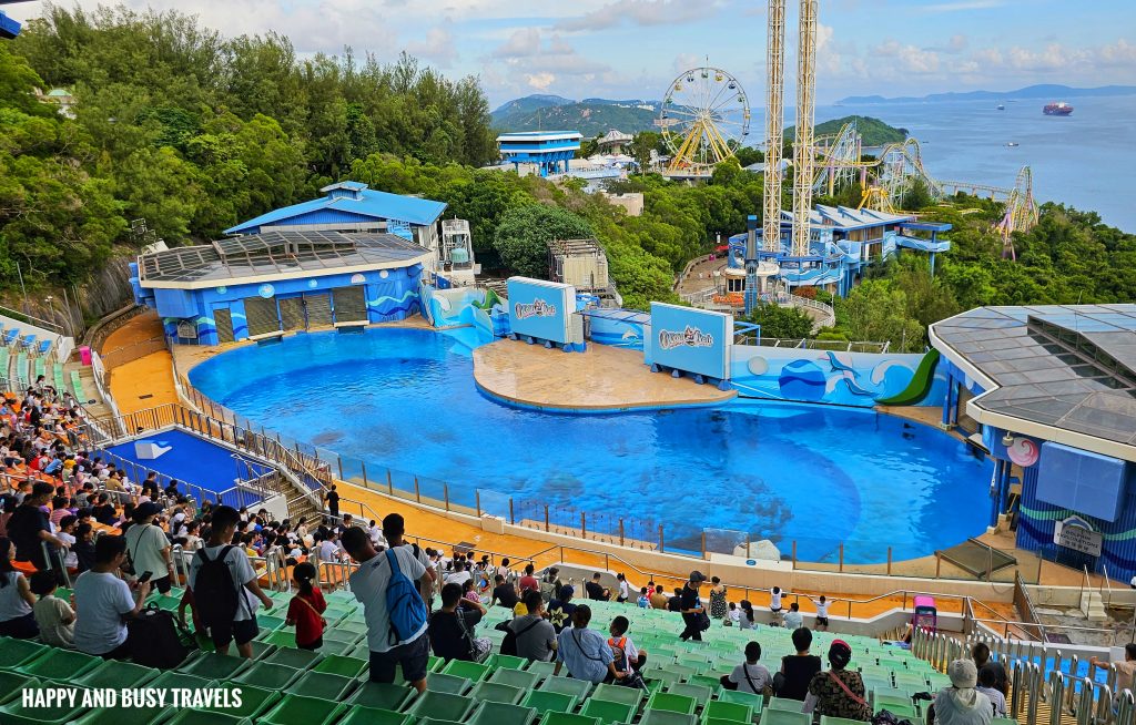 Ocean Park Hong Kong 63 - Sea Lion and Dolphin Show Dolphin explorations Marine World Theme park where to go to Hong Kong Itinerary - Happy and Busy Travels
